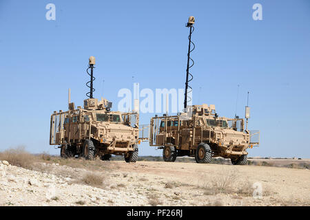 Die mittlere Mine geschützten Fahrzeug (Mmpv) Typ II, Herz und Nieren von den Soldaten des 510Th Spiel Unternehmen gelegt wird, 20 Engineer Battalion, 36th Engineer Brigade. Der mmpv Typ II Plattform bietet einen Knall-geschützten Plattform Soldaten zu schützen, die explosionsgefahr Missionen die Mobilität der Kraft an der taktischen durch strategische Ebene zu gewährleisten. Tests, die auf dem System durchgeführt, die von der Route Abstand platoons sind in einer realistischen Umgebung sicher Systeme unter Test in den Händen eines Soldaten wirksam und geeignet für Umgebungen, in denen sie trainieren und Kämpfen zu machen. Test Units Stockfoto