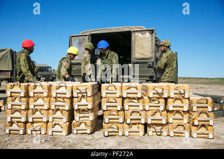 Westliche Armee Infanterie Regiment, Japan Masse Verteidigung-kraft (JGSDF), Soldaten laden 120 mm Mörser Umläufen in die Rückseite eines japanischen High Mobility Multipurpose Radfahrzeug (Hmmwv) für den Transport in die Schusslinie feuern Missionen während der tragarmen Koordinierungsstelle Übung (SACCEX) Teil von Iron Fist 2016, an Bord der Insel San Clemente, Calif., Feb 21, 2016 durchzuführen. Iron Fist 2016 ist eine jährliche bilaterale amphibischen Schulungsveranstaltung zwischen dem USMC und JGSDF Planung, Kommunikation und Durchführung von kombinierten amphibischen opeartions zu verbessern. (U.S. Marine Corps Foto von Cpl. X Stockfoto