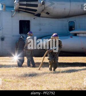 US-Marines und Seeleute vom 2. Marine Air Wing verhalten, Bewaffnung und Tanken (KASSENAERZTE) Operationen im laufenden Betrieb eifrig Antwort teilnehmenden Feb. 22-28. Eifrig Antwort ist ein Bataillon große taktische einsetzen und kombinierte Waffen Übung mit Einheiten aus 2. Marine Flugzeugflügel von WAB Cherry Point, N.C. und 2nd Marine Division von Marine Corps Base Camp Lejeune, N.C. Die übung war in Fort Stewart, Ga (US Marine Corps Foto von Sgt. Jarrod R. Rayner USMC/Freigegeben) Stockfoto