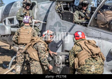 US-Marines und Seeleute vom 2. Marine Air Wing verhalten, Bewaffnung und Tanken (KASSENAERZTE) Operationen im laufenden Betrieb eifrig Antwort teilnehmenden Feb. 22-28. Eifrig Antwort ist ein Bataillon große taktische einsetzen und kombinierte Waffen Übung mit Einheiten aus 2. Marine Flugzeugflügel von WAB Cherry Point, N.C. und 2nd Marine Division von Marine Corps Base Camp Lejeune, N.C. Die übung war in Fort Stewart, Ga (US Marine Corps Foto von Sgt. Jarrod R. Rayner USMC/Freigegeben) Stockfoto