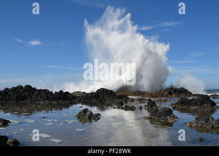 Sea Spray von einer Ocean Wave dramatisch Spritzen gegen einen Felsen in der Cape Perpetua Scenic Area entlang der Küste von Oregon Stockfoto