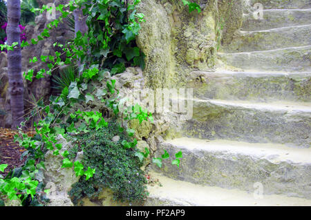 Steinerne Treppen und grünem Efeu auf der linken Seite Stockfoto