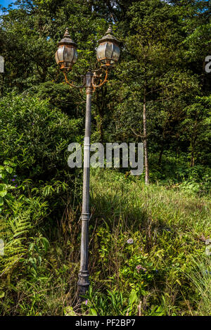 Alten, verlassenen rusty Straßenlaternen im Regenwald verloren Stockfoto