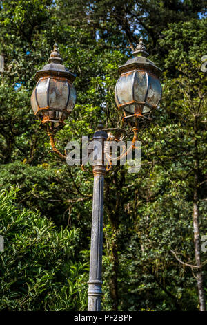 Alten, verlassenen rusty Straßenlaternen im Regenwald verloren Stockfoto