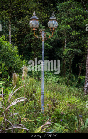 Alten, verlassenen rusty Straßenlaternen im Regenwald verloren Stockfoto