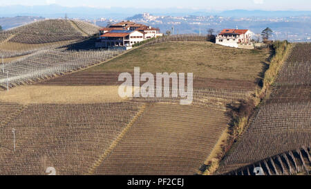 Weinberg im Dorf Serralunga Alba, Italien Stockfoto