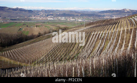 Weinberg im Dorf Serralunga d'Alba, Italien Stockfoto