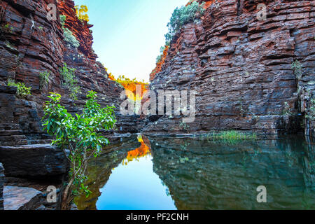 Fluss, der durch die Joffre-Schlucht im Karijini-Nationalpark fließt Stockfoto