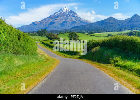 Auf der Straße, üppigen Gras, Farmen und Kühe vor Kegel Vulkan Mount Taranaki, Neuseeland Stockfoto