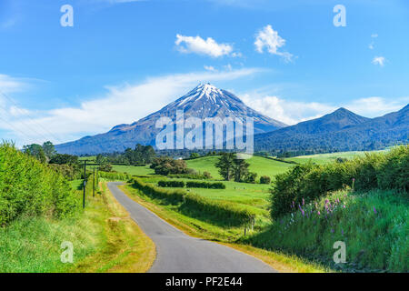 Auf der Straße, üppigen Gras, Farmen und Kühe vor Kegel Vulkan Mount Taranaki, Neuseeland Stockfoto