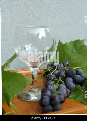 Immer noch leben - leeres Weinglas, blaue Trauben und Blätter auf einem Holz- fach angeordnet Stockfoto