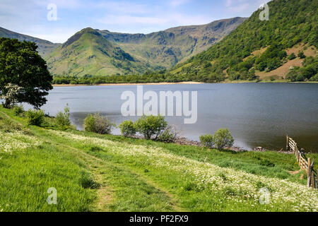 Brüder Wasser und der Blick Richtung hohe hartsop Dodd und der Ridge zu Dove Crag, Lake District, Cumbria, Großbritannien Stockfoto