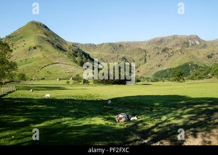 Hohe Hartsop Dodd (links) und der Ridge zu Dove Crag (rechts), von Sykeside, Lake District, Cumbria, UK gesehen Stockfoto