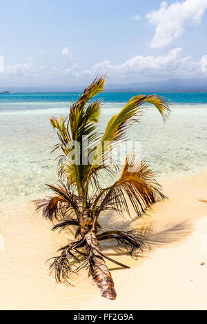 Eine typische Ansicht in den San Blas Inseln Stockfoto