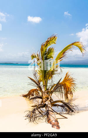 Eine typische Ansicht in den San Blas Inseln Stockfoto