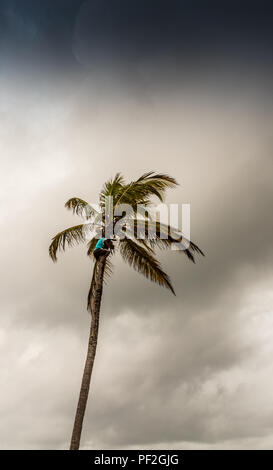 Eine typische Ansicht in den San Blas Inseln Stockfoto