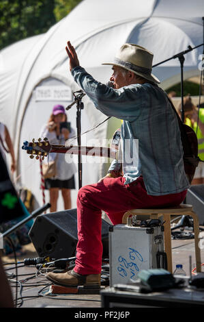 Blues Gitarrist und Sänger Robin Bibi führt an einem Open Air Festival an einem heißen Tag in London. Stockfoto