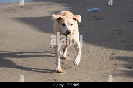 Pentewan Sands, Pentewan, Cornwall, 050218 Stockfoto