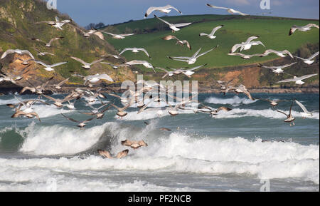 Pentewan Sands, Pentewan, Cornwall, 050218 Stockfoto