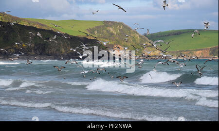 Pentewan Sands, Pentewan, Cornwall, 050218 Stockfoto