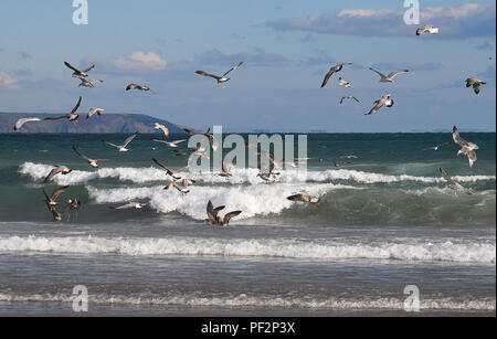 Pentewan Sands, Pentewan, Cornwall, 050218 Stockfoto