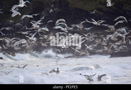 Pentewan Sands, Pentewan, Cornwall, 050218 Stockfoto