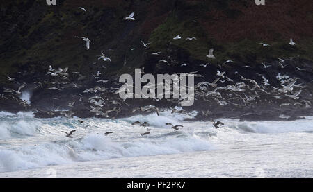 Pentewan Sands, Pentewan, Cornwall, 050218 Stockfoto