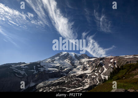 WA 14775-00 ... WASHINGTON - Mount Rainier gesehen vom Glacier Vista in der Nähe von Paradise im Mount Rainier National Park Stockfoto