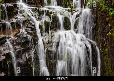 WA 14788-00 ... WASHINGTON - Sunbeam Creek entlang der Stevens Canyon Road im Mount Rainier National Park. Stockfoto