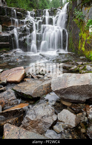 WA 14791-00 ... WASHINGTON - Sunbeam Creek entlang der Stevens Canyon Road im Mount Rainier National Park. Stockfoto