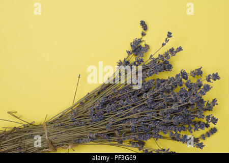 Lila getrocknetem Lavendel Schuß von der Ansicht von oben gegen Hellgelben Hintergrund Stockfoto