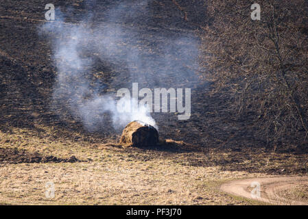 Brennen im letzten Jahr Gras und Heu Walze an der Wiese. Stockfoto
