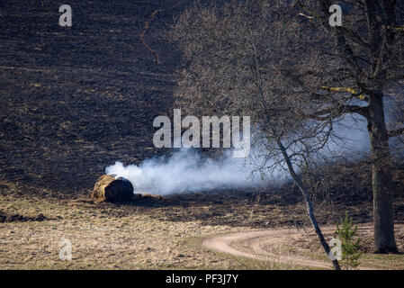 Brennen im letzten Jahr Gras und Heu Walze an der Wiese. Stockfoto