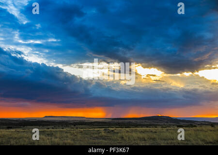 Panoramablick auf die Landschaft: Dramatische graue Sturmwolken über eine orangefarbene Horizont sammeln in der Savanne mit drohenden Regen bei Sonnenuntergang, Masai Mara, Kenia Stockfoto