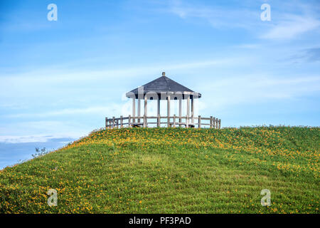 Die Orange daylily (Tawny daylily) flower Farm in Taimali Berg mit blauem Himmel und Wolken, Taitung, Taiwan Stockfoto