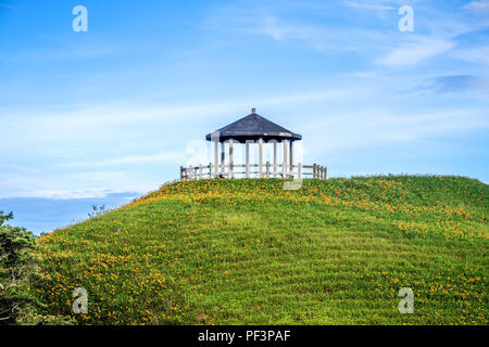Die Orange daylily (Tawny daylily) flower Farm in Taimali Berg mit blauem Himmel und Wolken, Taitung, Taiwan Stockfoto