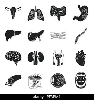 Anatomie, Kunst, schwarz, boold, Gehirn, Sammlung, Design, Krankheit, Augapfel, Fleisch, gastrointestinale, Gesundheit, Herz, menschliche, Icon, Illustration, interne, isoliert, Niere, Leber, Logo, Lunge, männlich, Medizin, Mund-, Muskel-, Orgel-, Pankreas-, Fortpflanzungs-, Satz, Zeichen, Haut, Wirbelsäule, Magen, Symbol, System, Trakt, der Gebärmutter, Vektor-, Schiff-, Web-, Vektor, Vektoren, Stock Vektor