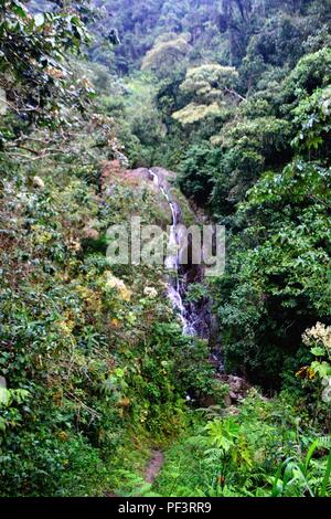 Wasserfall in LA ZUNGA - Ecuador Grenze - San Ignacio - Departement Cajamarca PERU Stockfoto