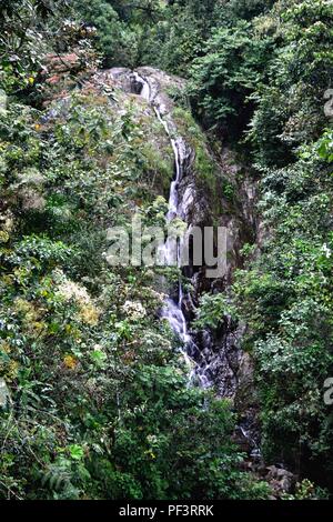 Wasserfall in LA ZUNGA - Ecuador Grenze - San Ignacio - Departement Cajamarca PERU Stockfoto
