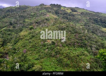 Wasserfall in LA ZUNGA - Ecuador Grenze - San Ignacio - Departement Cajamarca PERU Stockfoto