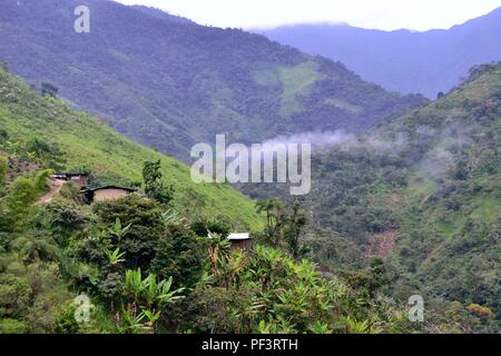 Wasserfall in LA ZUNGA - Ecuador Grenze - San Ignacio - Departement Cajamarca PERU Stockfoto