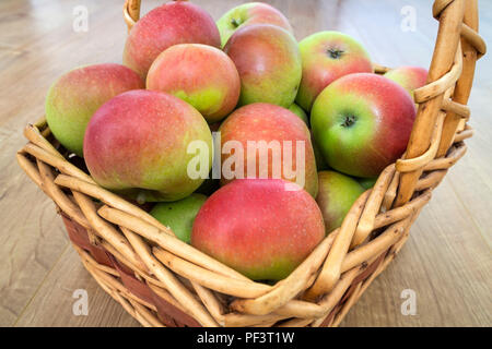 Eine frisch gepflückte Warenkorb der Entdeckung (Malus Domestica) Äpfel. Stockfoto