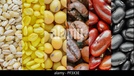 Gesundes essen Hintergrund. Sammlung mit verschiedenen Bohnen und Getreide. Stockfoto