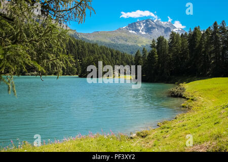 Blick über Lake Silvaplana (oder Silvaplanersee, Lej da Silvaplauna).. Silvaplanasee ist ein See in der Upper-Engadine Tal von Graubünden, Schweiz Stockfoto