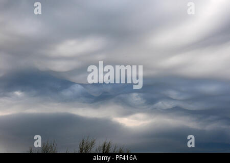 Wellenförmige Wolken. Altostratus undulatus asperitas Wolken in einem stürmischen Himmel. Stockfoto