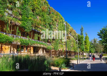 Grüne Wand in einer nachhaltigen eco Gebäude Stockfoto