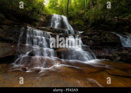 Lorbeer fällt, Tennessee. Wahrscheinlich das beliebteste Wasserfall Reiseziel in die Great Smoky Mountains. Laurel Falls ist ein Klassiker! Stockfoto