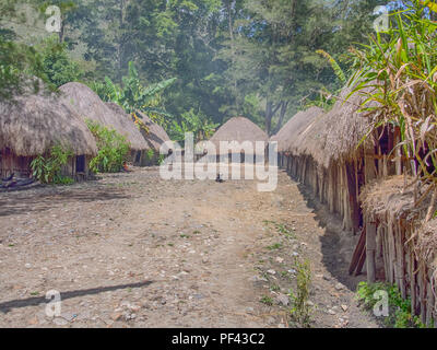 Wamena, Indonesien - Januar 23, 2015: Hütte mit trockenen Blättern der Banane in den Dani Stamm Dorf abgedeckt. Auch Ndani geschrieben. Dani Stamm in Bal Stockfoto