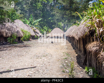 Wamena, Indonesien - Januar 23, 2015: Hütte mit trockenen Blättern der Banane in den Dani Stamm Dorf abgedeckt. Auch Ndani geschrieben. Dani Stamm in Bal Stockfoto