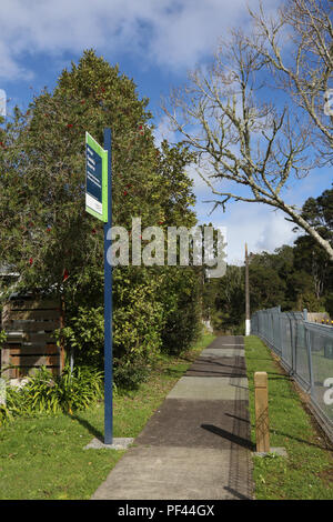 Kawaka finden, Titirangi Stockfoto